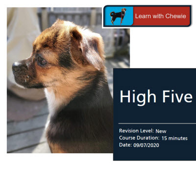 Screenshot of Learn with Chewie Course: High Five
